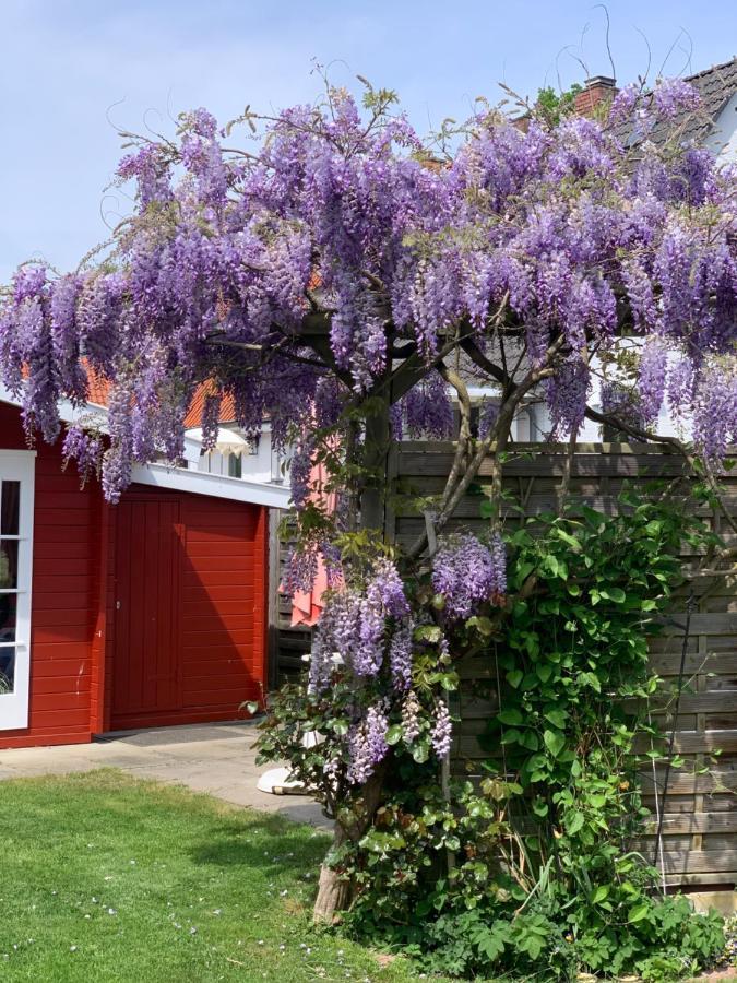 Komfort Ferienwohnung Kroemer Timmendorfer Strand Esterno foto